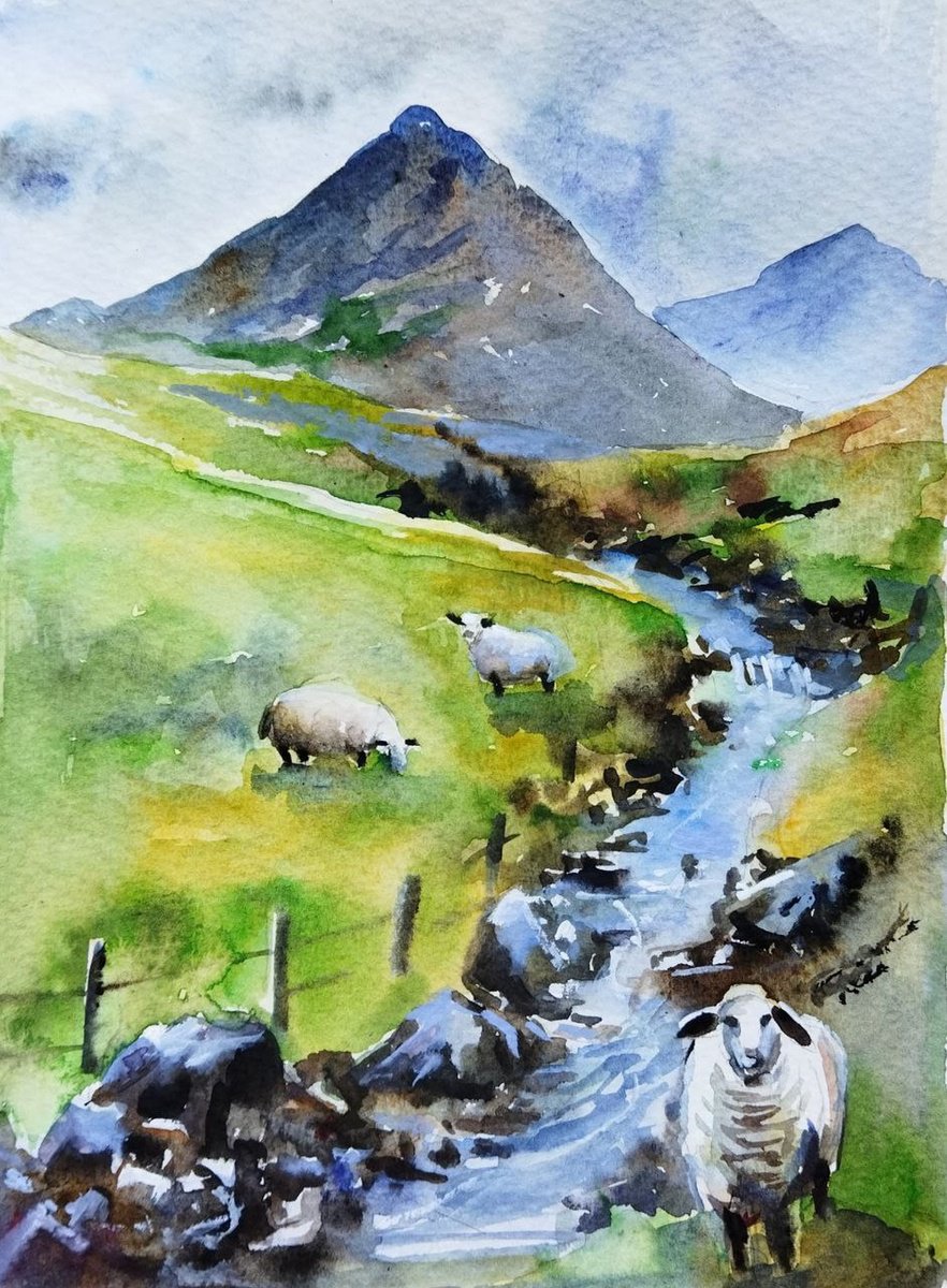 Scottish landscape with sheep by Ann Krasikova
