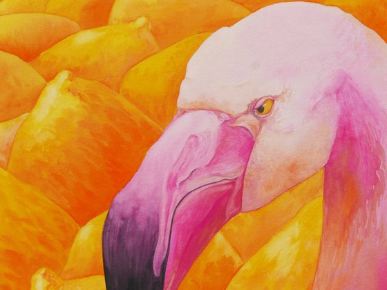 Flamingo with lemons