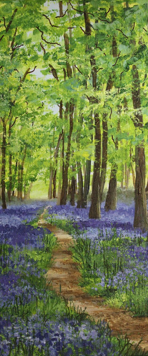 Woodland Bluebells by Valerie Jobes