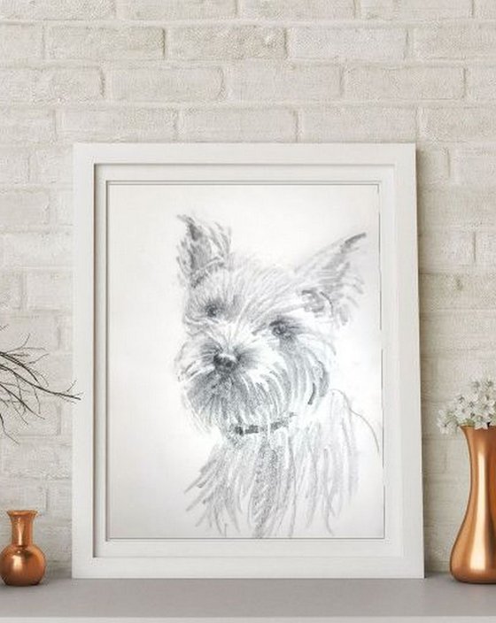 Biewer Terrier and Terrier