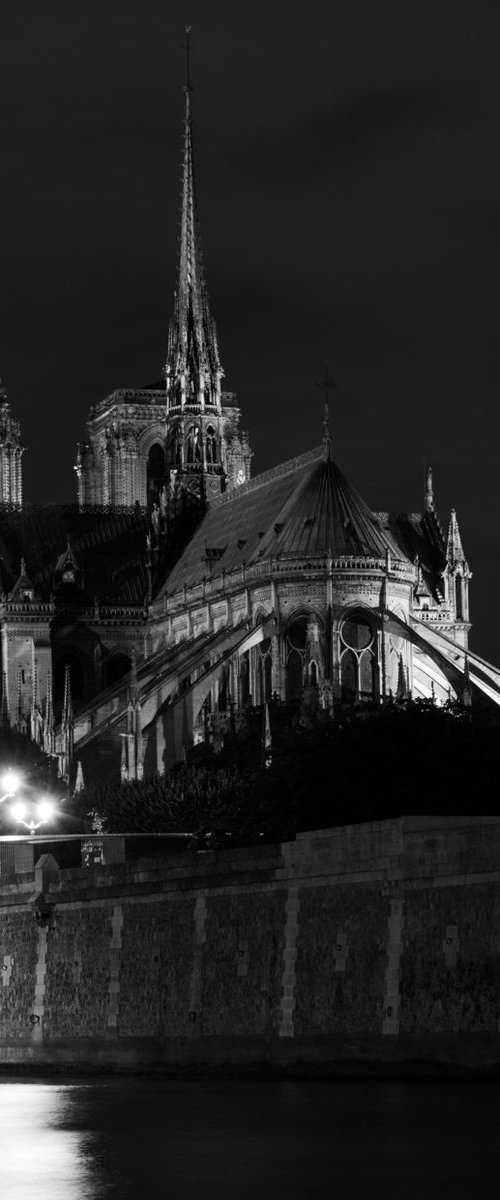 Notre-Dame de Paris by Charles Brabin