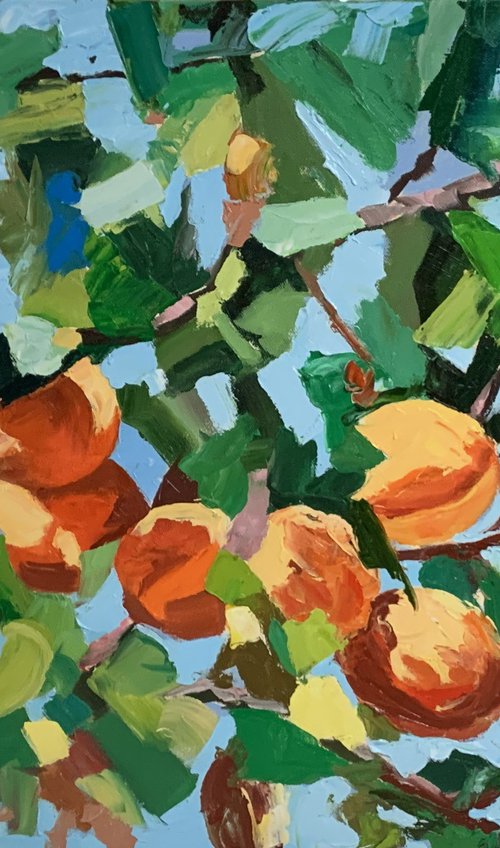 Apricot garden. by Vita Schagen