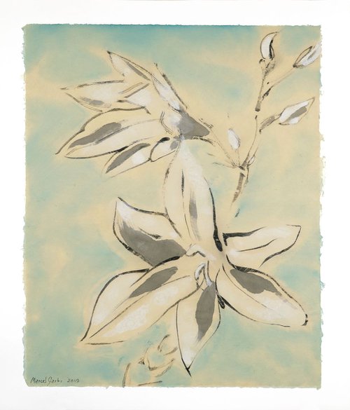 White flowers by Marcel Garbi