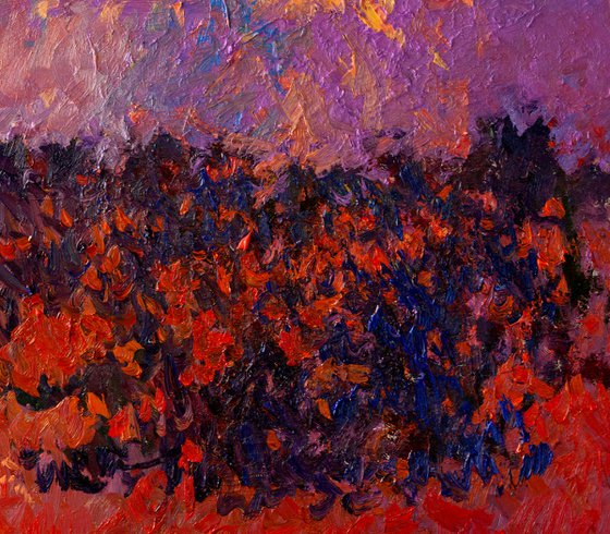 Desert, Evening