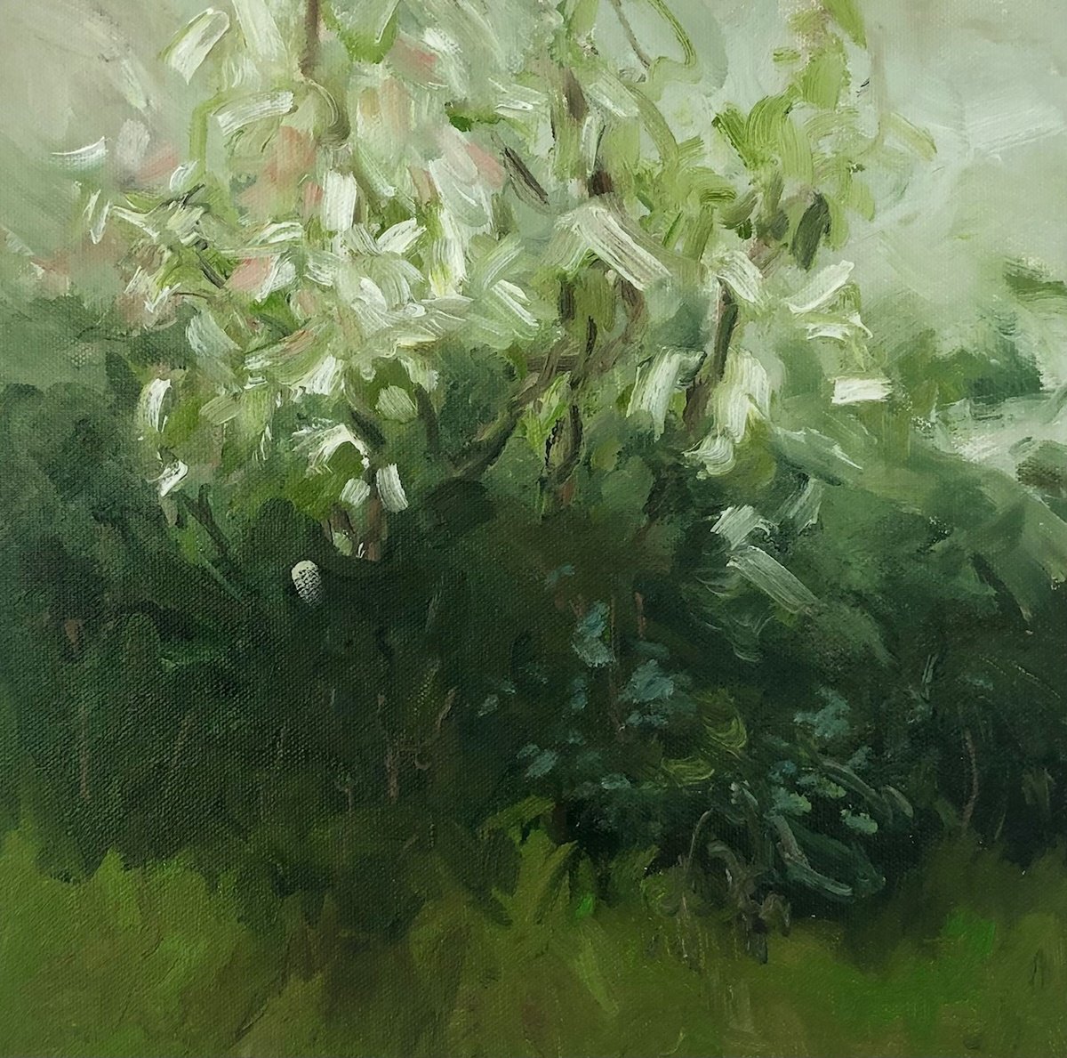 Impressionistic Botanical Oil Painting By Joanna Farrow, 13 X 13, Hedgerow Blossom, Original Artwork