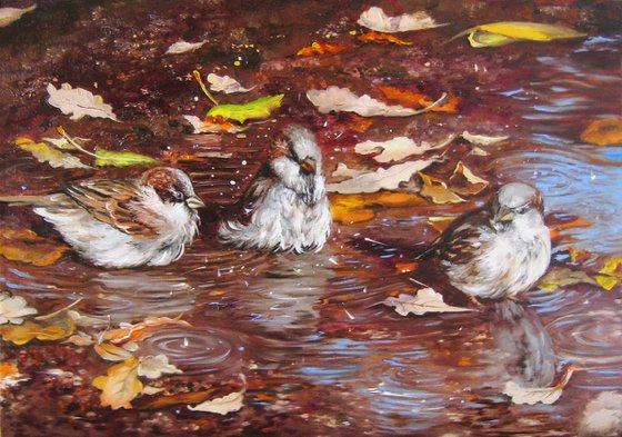 Sparrows Painting Oil Birds