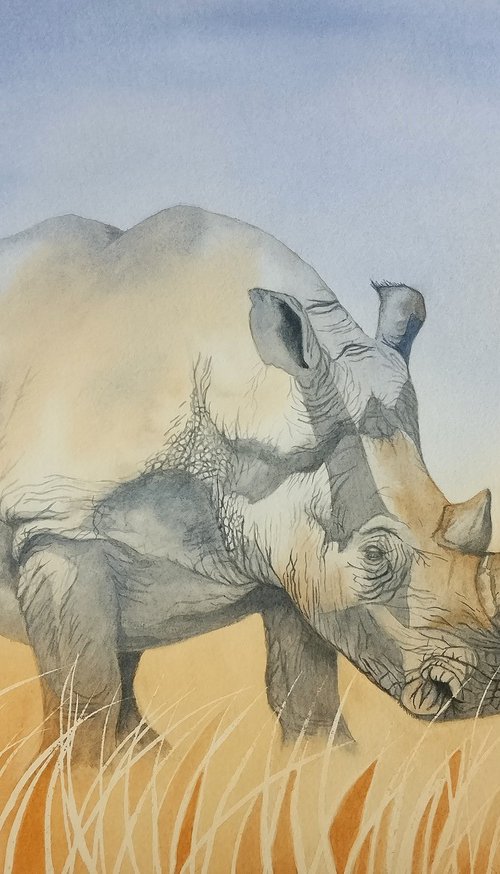 Rhino I by TARA SLATER