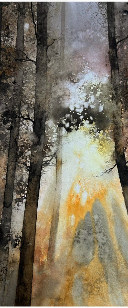 warm forest by Nazar Grunyka