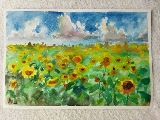 Summer field sunflowers