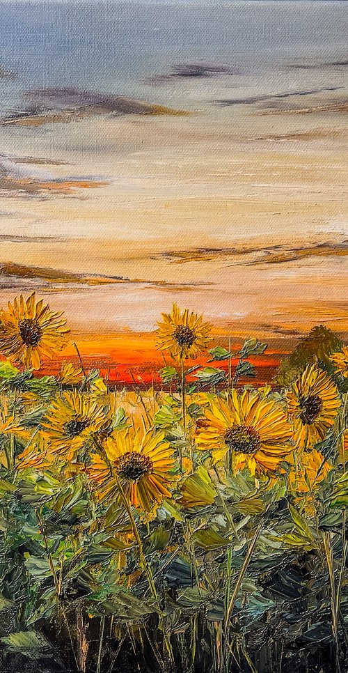 Sunflowers by Sunset by Kimberley  Harris
