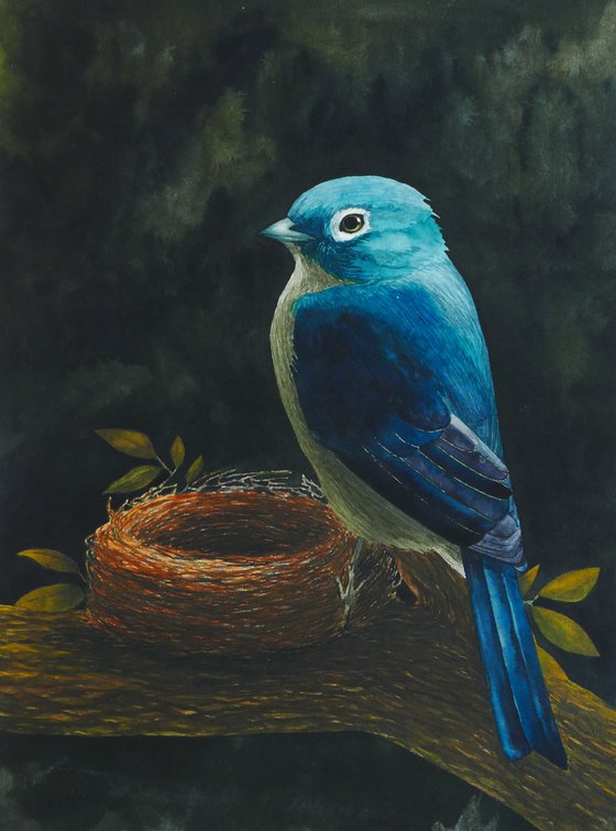 The bird with the nest