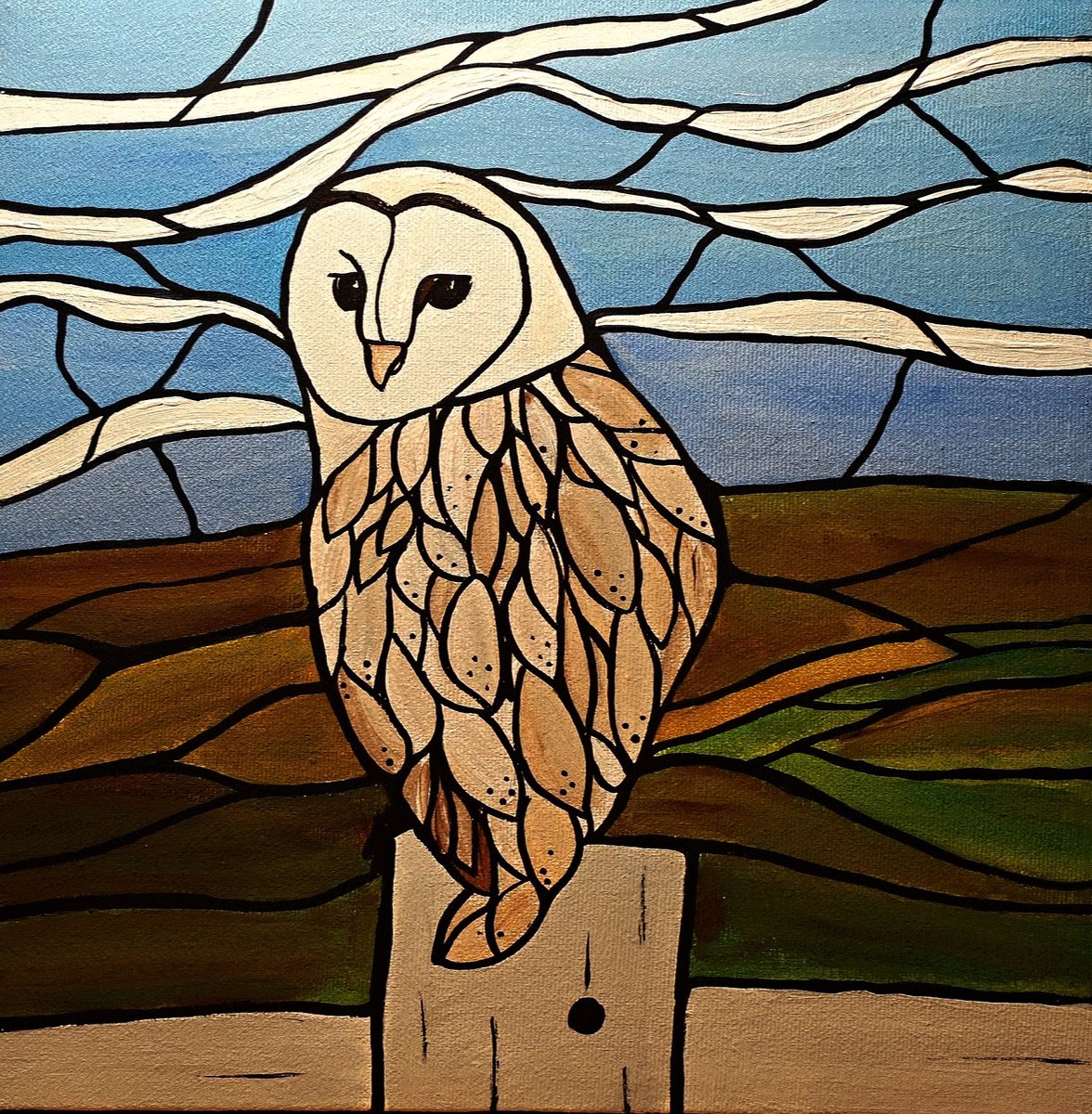 Little barn owl by Rachel Olynuk