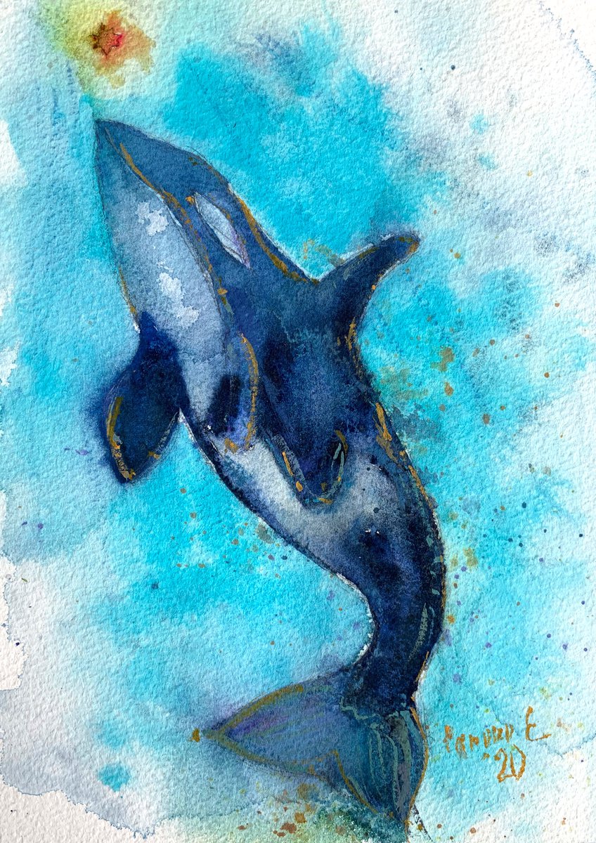 Dolphin #1 by Evgenia Panova