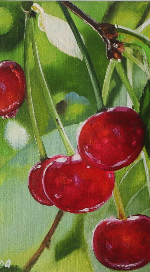 Red Cherries on Branch by Natalia Shaykina