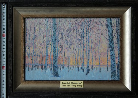 March morning. Birch trees