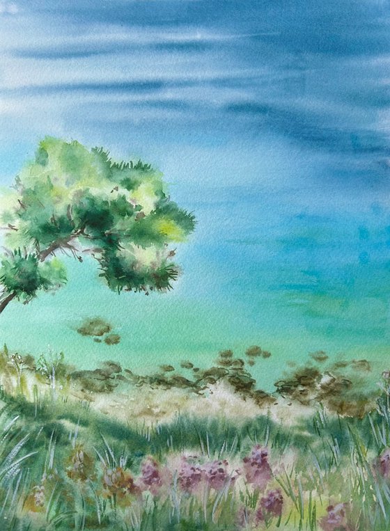 Pine Over the Sea. Cyprus.