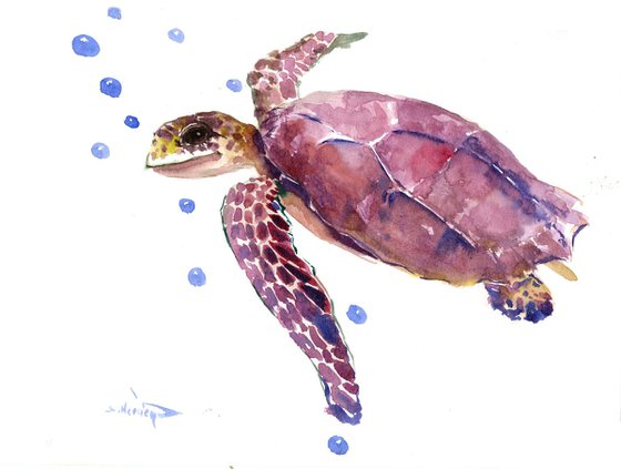 Sea Turtle