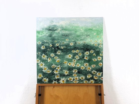 Daisies 2