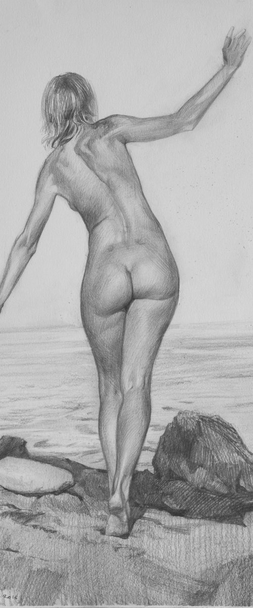 On a stony beach by Sergey Kostov