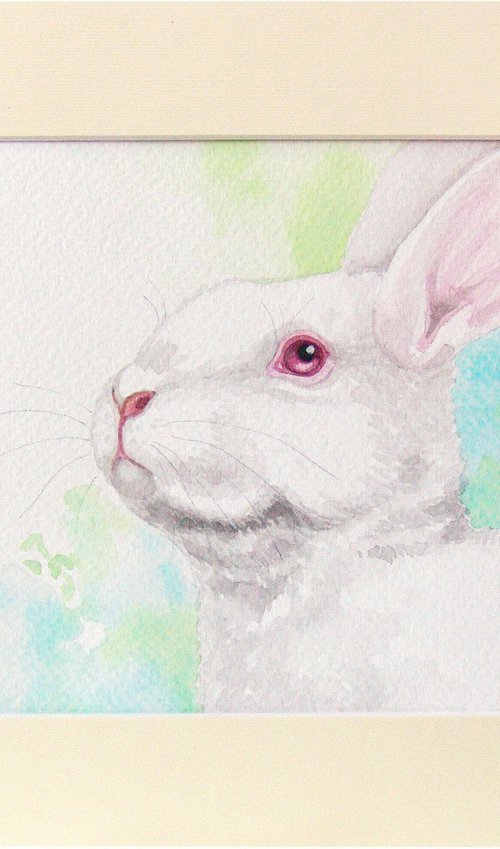Bunny 3 by Jolanta Czarnecka