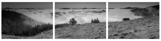 Covered in morning fog. (Multipanel)