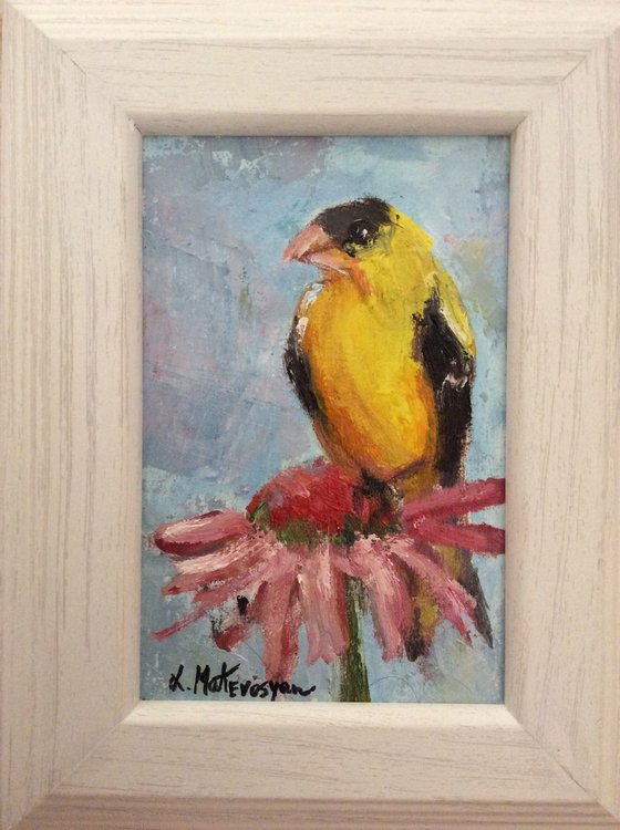 Yellow Bird In Garden