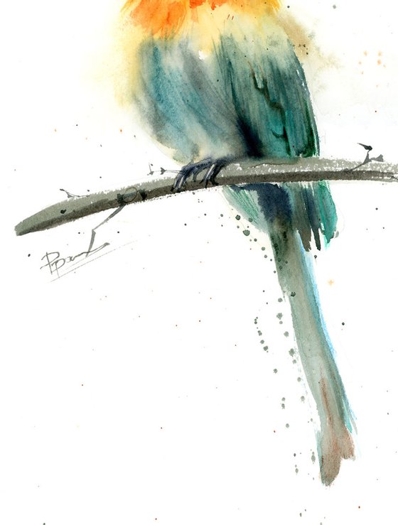 Bee Eater