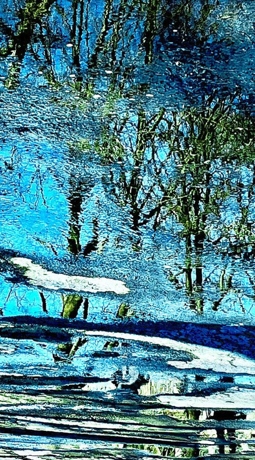 Aquatic Woods by Julien Boissaud
