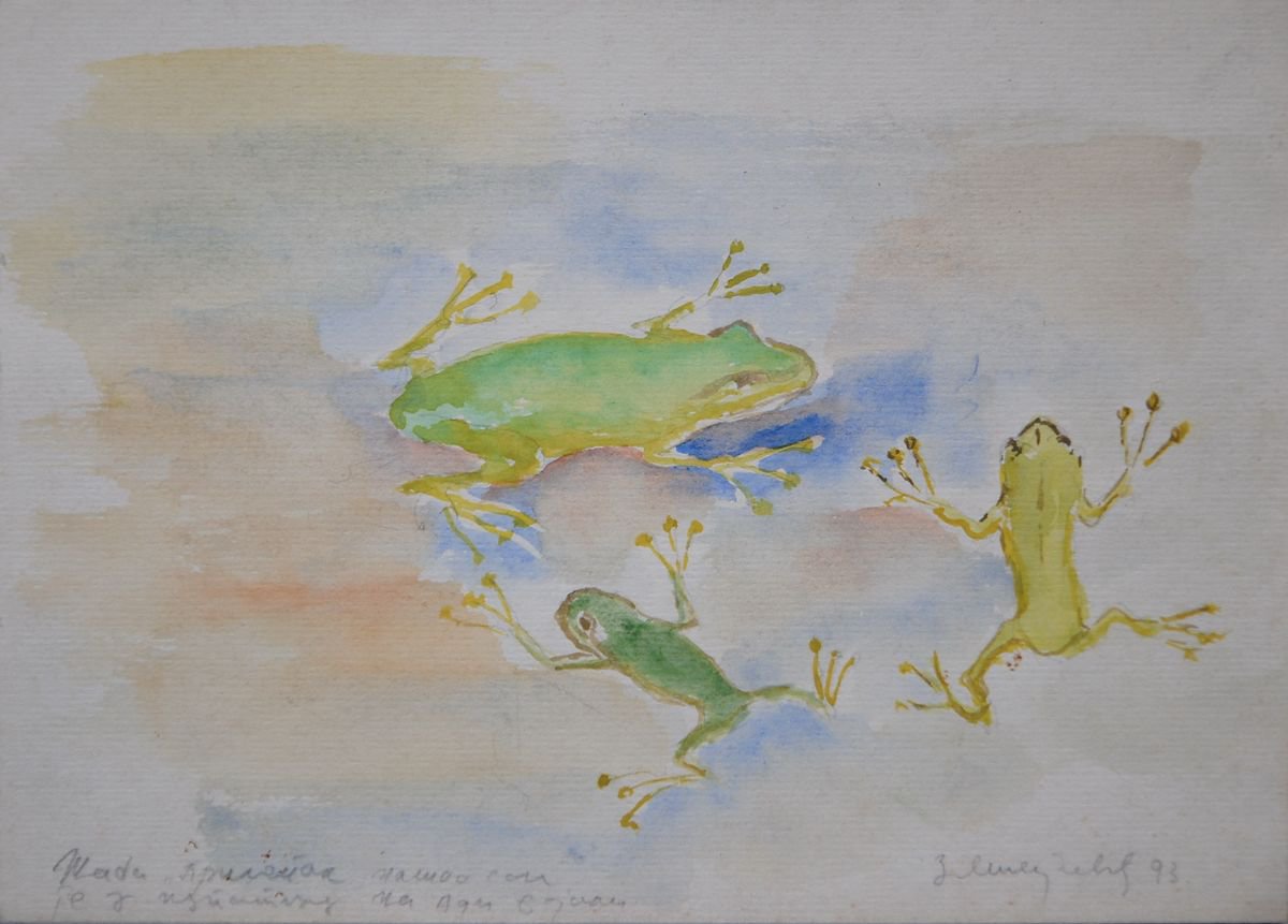 Frogs / 24 x 17.5 cm by Zoran Mihajlovi? Muza