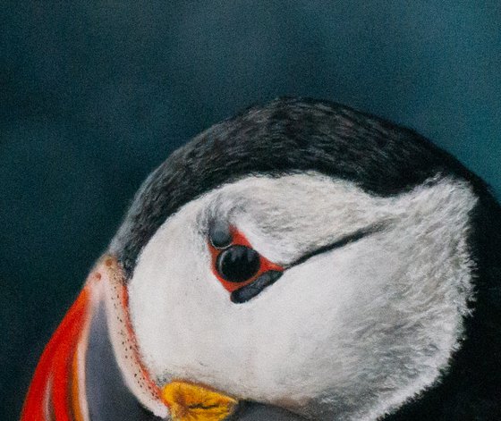 Pete the Puffin