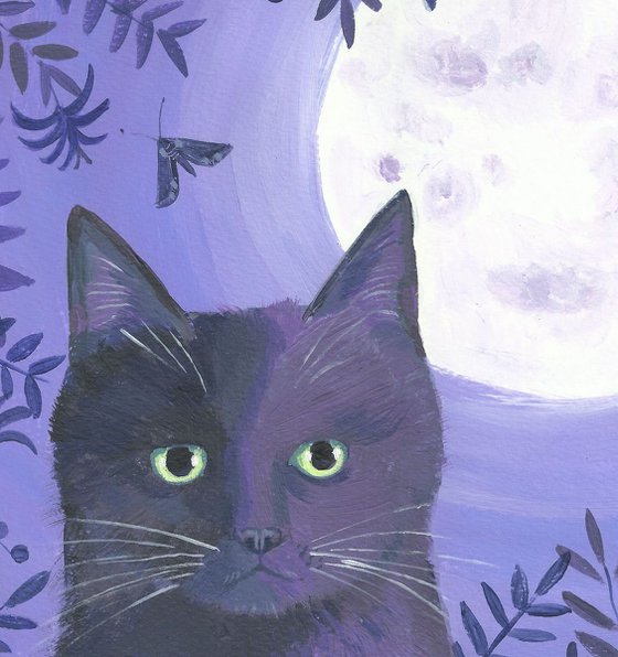 Black cat with the moon