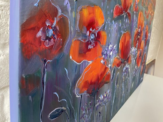 "Red poppies on the field". Oil painting.