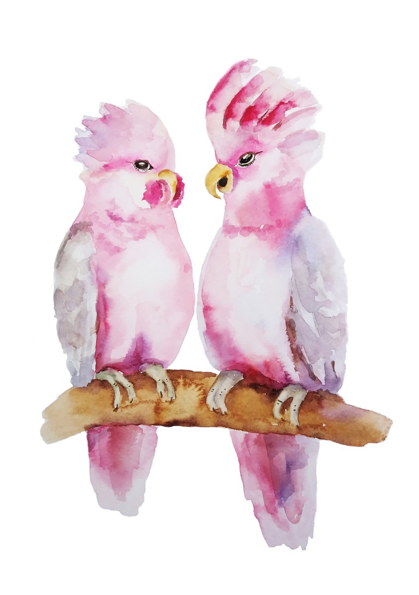 Pink parrots cockatoo bird artwork, watercolor illustration by Tanya Amos