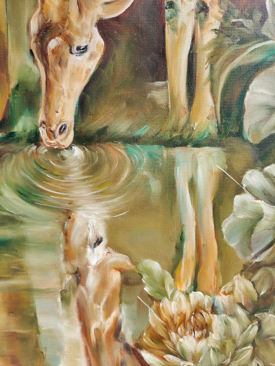 Safari