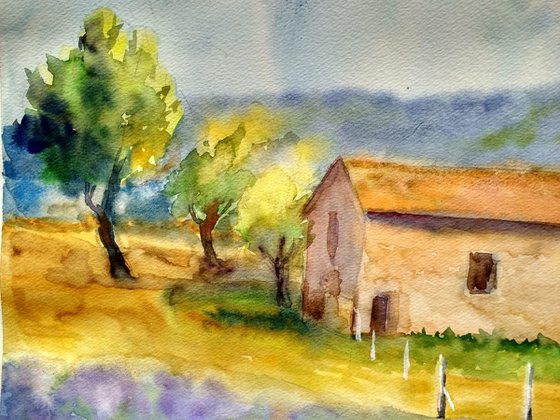 Provence