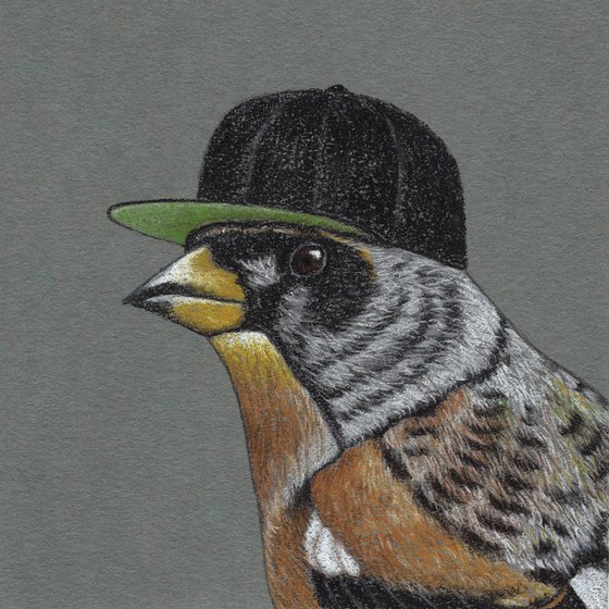 Original pastel drawing "Mr. Brambling"