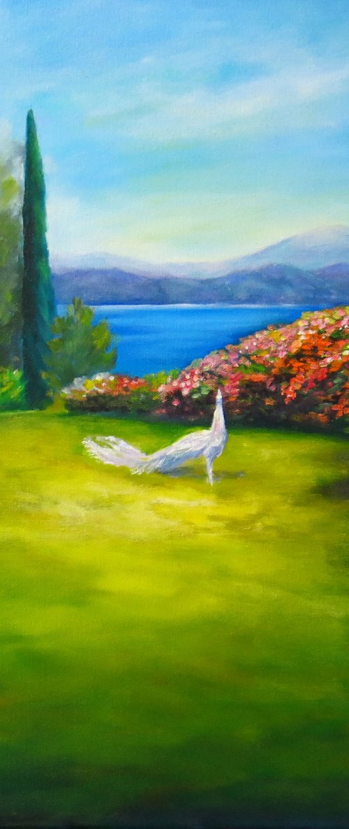 Lake Maggiore by Maureen Greenwood