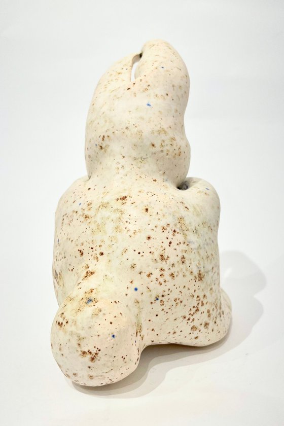 Dreamer Rabbit