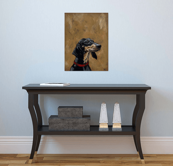 Derek the dachshund