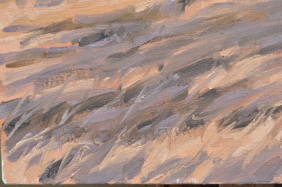 After the Harvest, Morning Light
