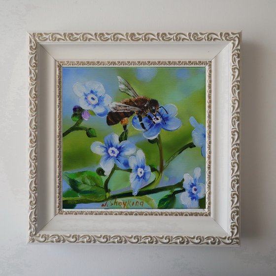 Honey Bee on Blue Flower