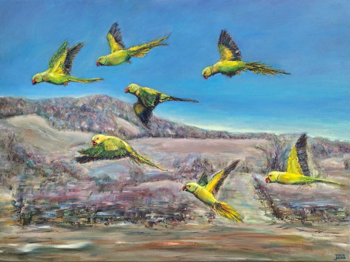 Photorealistic Oil Painting , Rose-Ringed Parakeets By Jura Kuba Art, 31 X 24, Artwork For Sale On Artfinder
