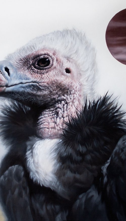 Extravagant Coat / White headed vulture by Yuko Montgomery