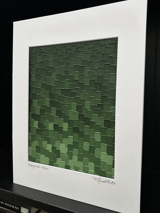 Evergreen Moss