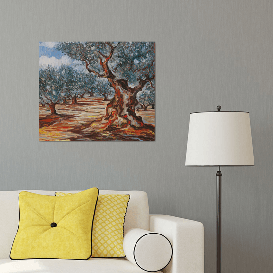 Olive Grove