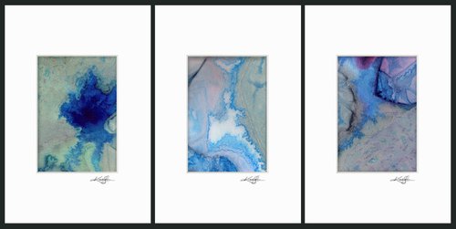The Gifts From Nature Collection 1 - 3 Abstract Paintings by Kathy Morton Stanion by Kathy Morton Stanion