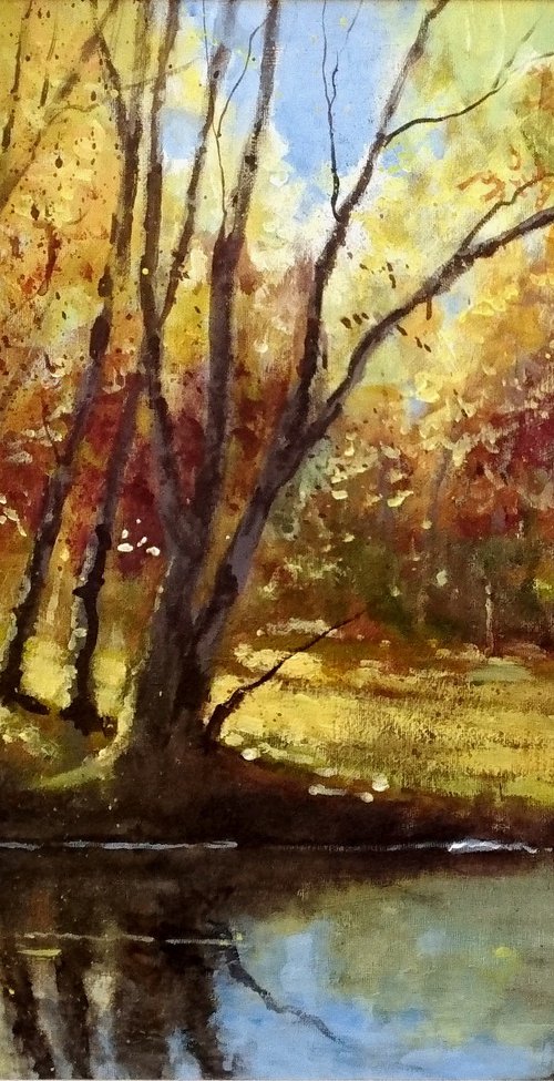 Autumn Trees by Alan Harris