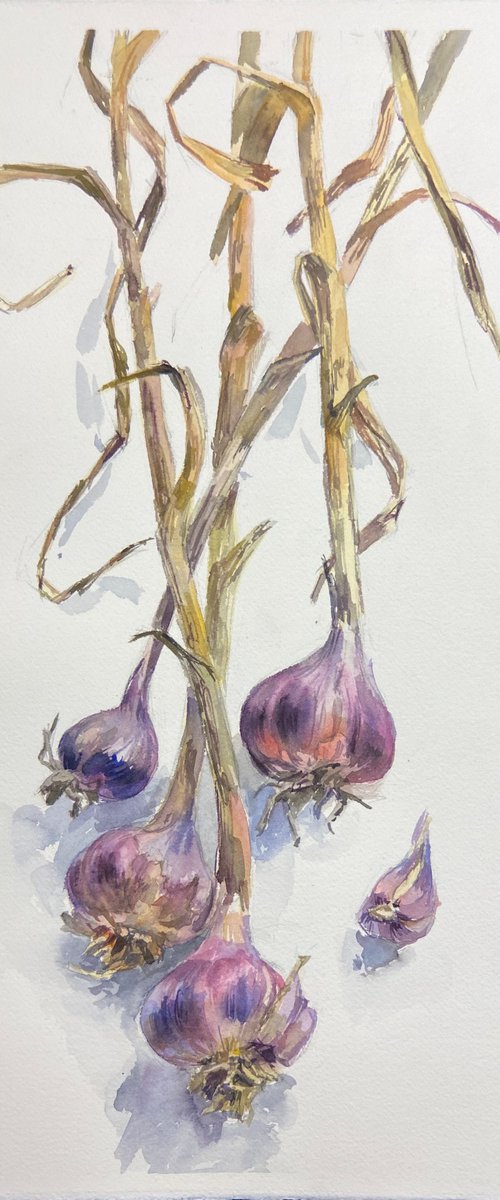 Garlic from my garden by Nataliia Nosyk