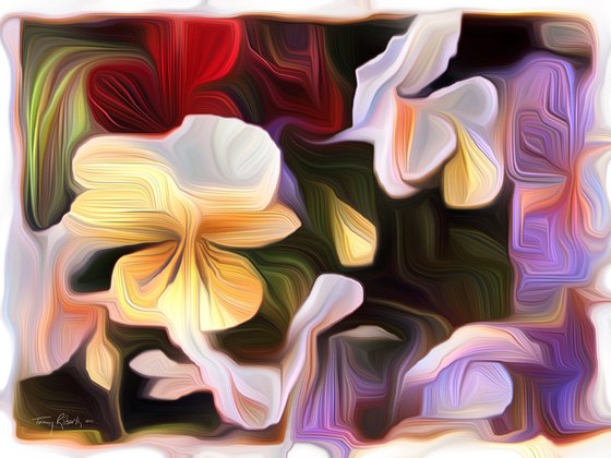 Pansy - an abstract photo-impressionist artwork