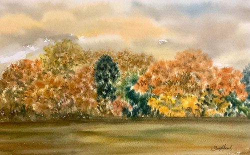 Admiring the autumn tree colours by Samantha Adams